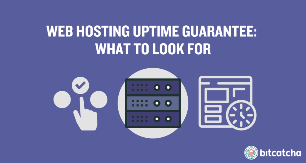 What is the Uptime Guarantee for Web Hosting?